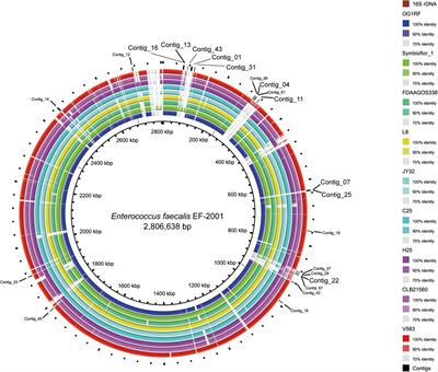 Establishment of a polymerase chain reaction-based method for strain-level management of Enterococcus faecalis EF-2001 using species-specific sequences identified by whole genome sequences